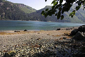 Beach scene
