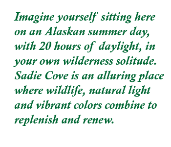 Kayak text